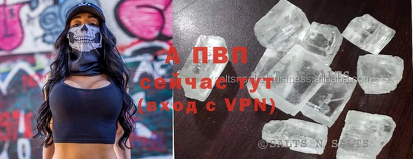 эйфоретик Баксан