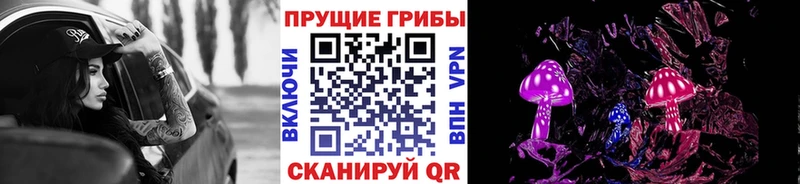 Галлюциногенные грибы Psilocybine cubensis  Пыталово 